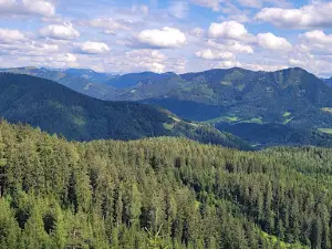 Mariazeller Schwebebahnen GesmbH
