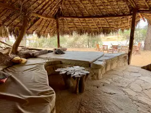 Lion King Safari Bush Camp