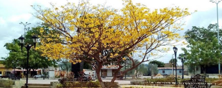 Plaza Bolívar de Pariaguán
