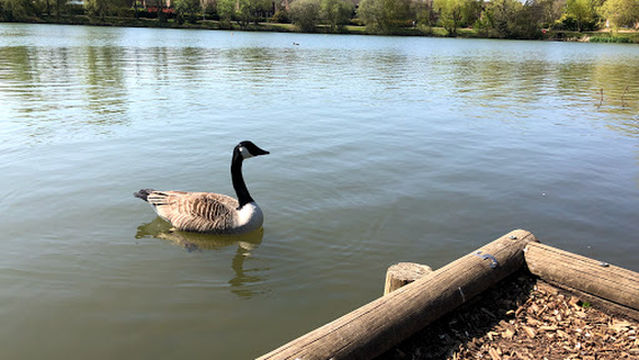 Goldsworth Park Recreation Ground
