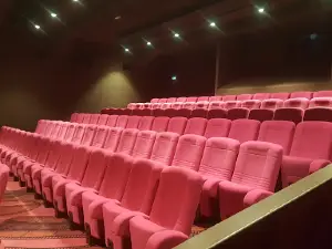 Cinéma Claude Miller