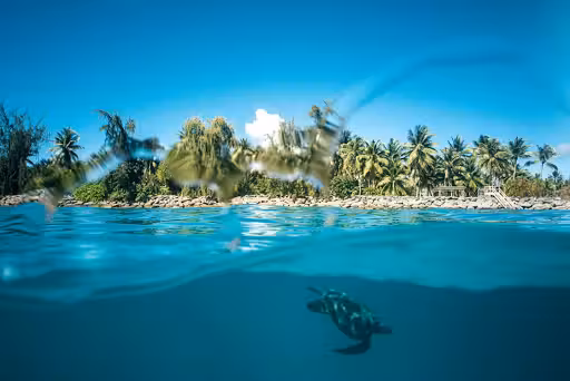 Vuelos ${{cityDName}} Majuro