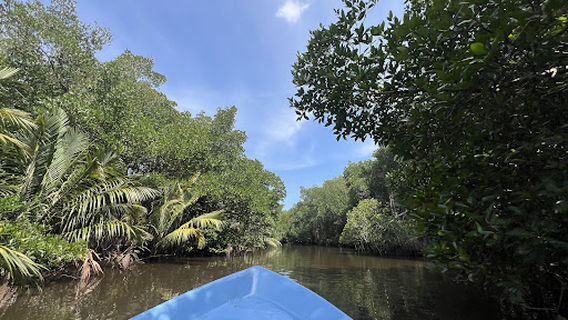 Bentota