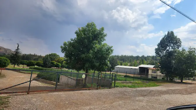 Kenbağ Fidanlığı