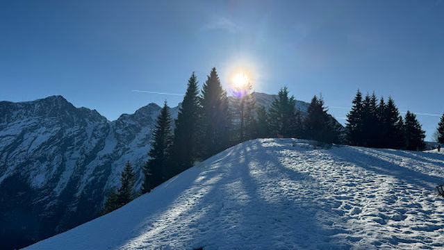 Rossfeld (Skilifte Rossfeld GmbH & Co.KG)