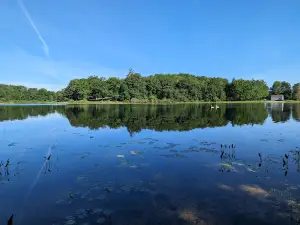 Hogback Lake