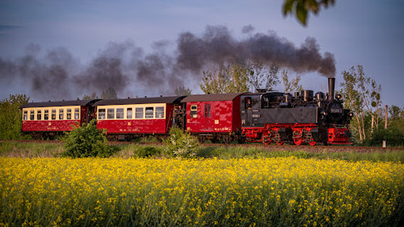 Freundeskreis Selketalbahn e. V. (FKS)