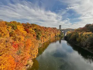Genesee River
