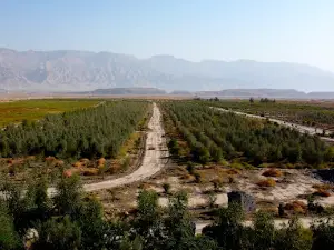 Cozy forest,جنگل کوزه