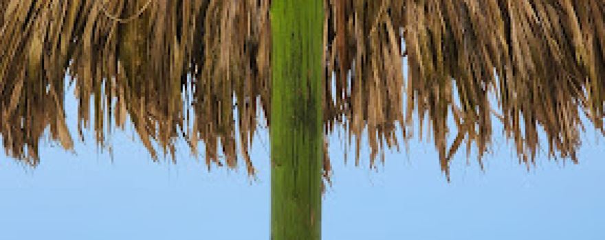 Playa Blanca