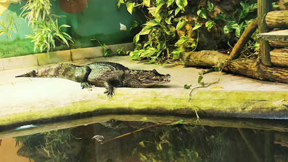 Kleinzoo Wasserstern e.V.