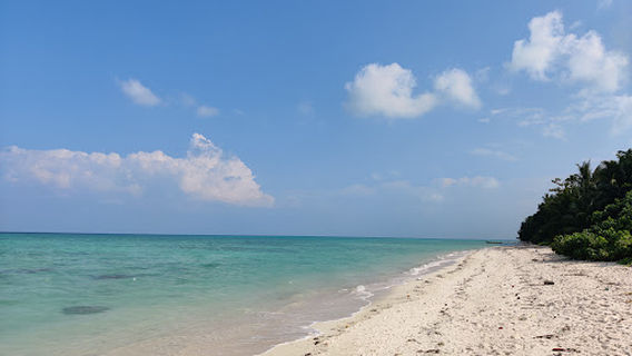 Havelock Island
