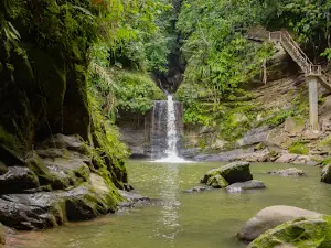 Waterfalls Pishurayacu