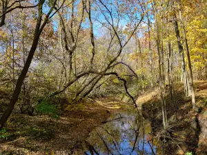 Maidstone Conservation Area