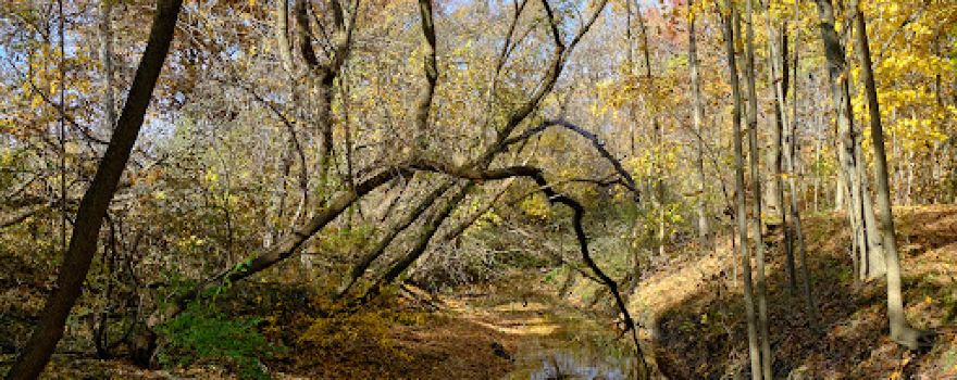 Maidstone Conservation Area