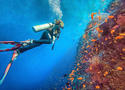 SlyDive Dahab