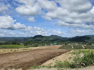 ภูพันตา@บ้านคา Phu Pan Ta@Ban Kha