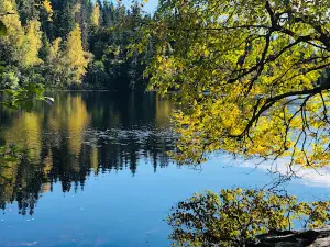 Mørkgonga naturreservat