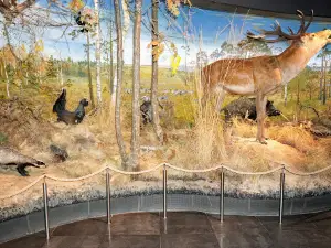 Pripjatskii Nacional'Nyi Park Gosudarstvennoe Prirodoohrannoe Uchrezhdenie