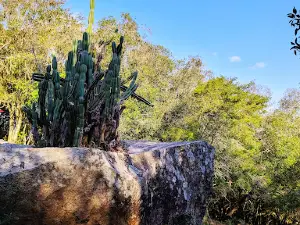 Pedra Equilibrada