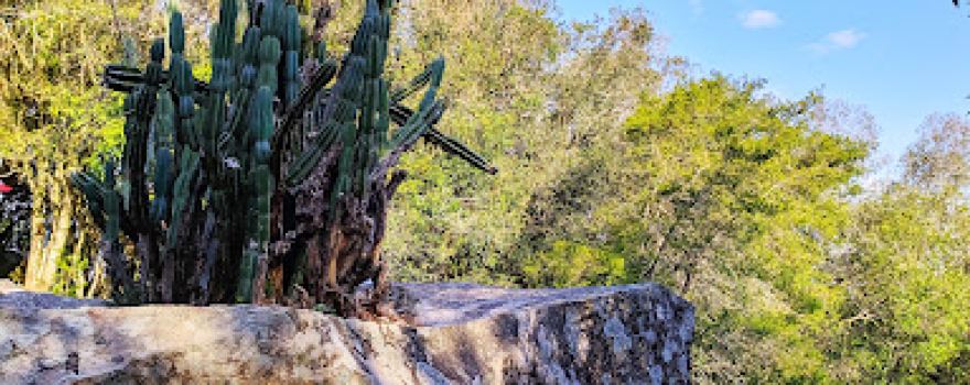 Pedra Equilibrada
