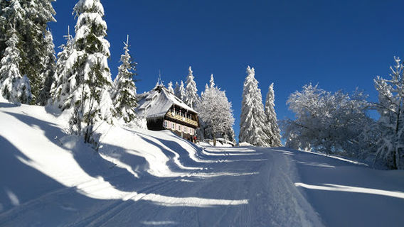 Nature reserve Wilder See - Hornisgrinde