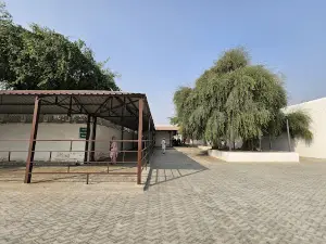 Peer Nigaha, Langiana