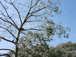 Ferroviario Park