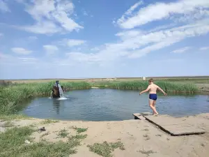 Sheldauk hot springs