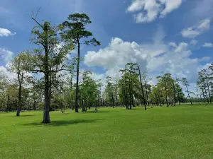 Tyrrell Park