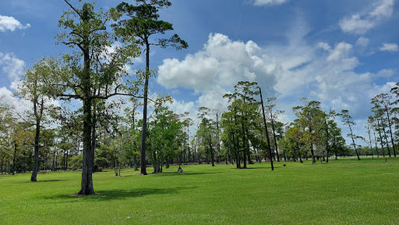 Tyrrell Park