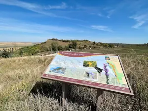 Murray Hill Scenic Overlook