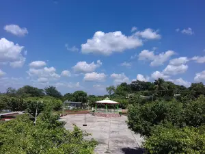 Parque