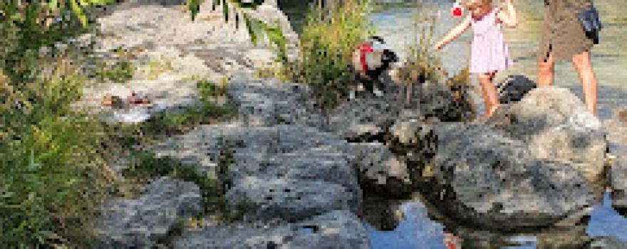 Erlebnis.Wildbach Schmidbergerwehr