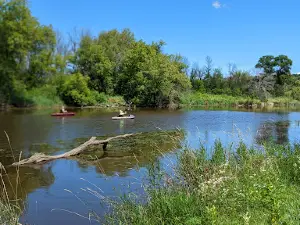 Horicon Marsh State Wildlife Area