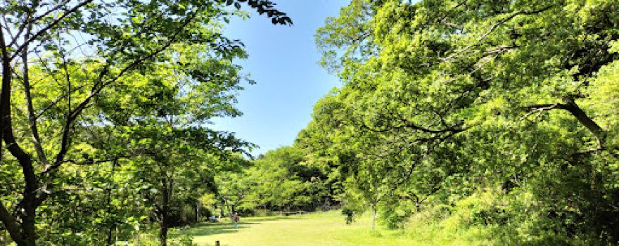 Green Area