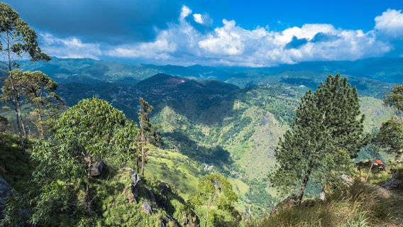 Ella Rock View Point
