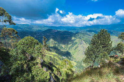 Ella Rock View Point