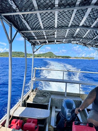 Aunuu Island National Natural Landmark