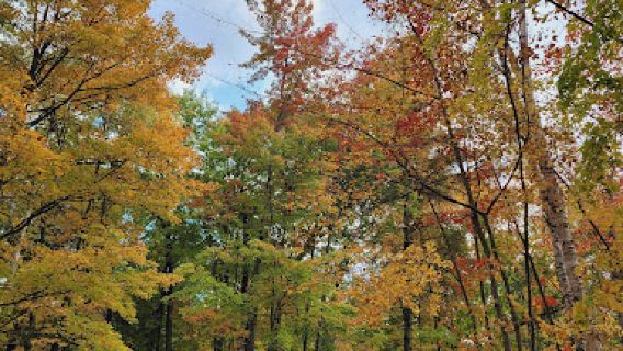 Oconto County Park Campground