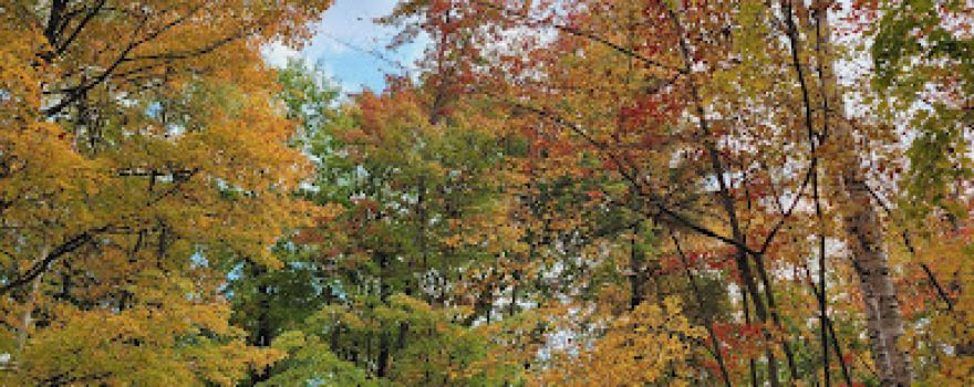 Oconto County Park Campground