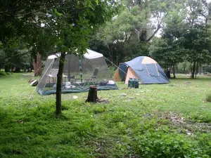 Bittangabee campground