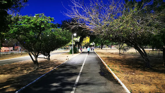 Josepha Coelho City Park