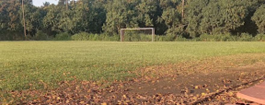 Campo El Pato