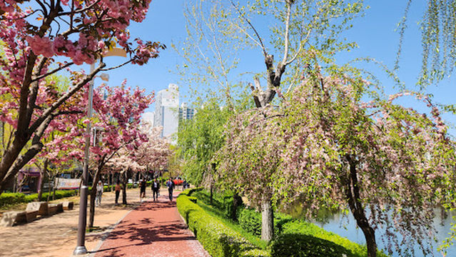 Seosan Jungang Lake Park