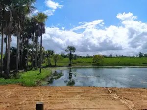 Parque de Vaquejada Geovane Sousa