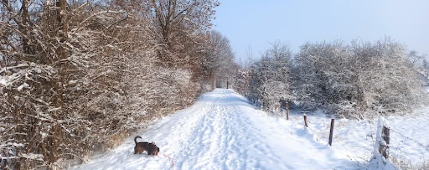 Erftaue und Streuobstwiesen westlich Weilerswist