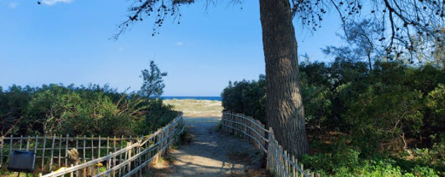 Pinewood Jovinus - Marina Di Catanzaro