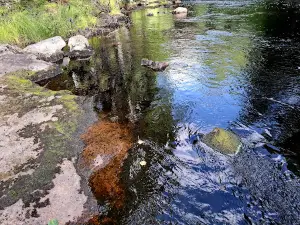 Palsankoski Rapids