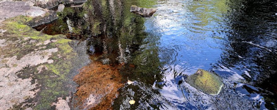 Palsankoski Rapids